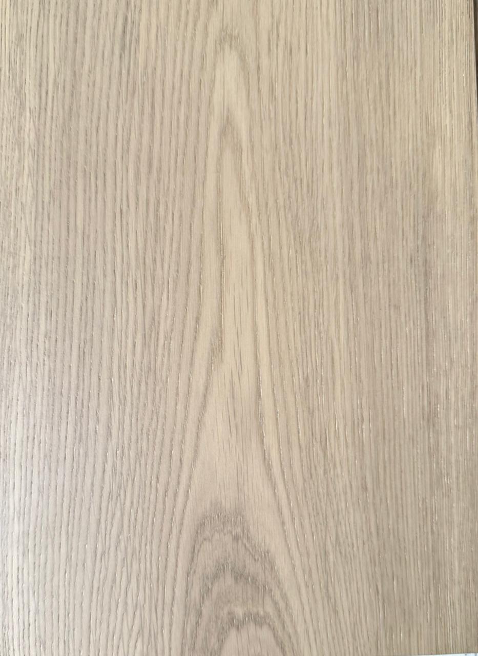 Roble Blanco Europeo