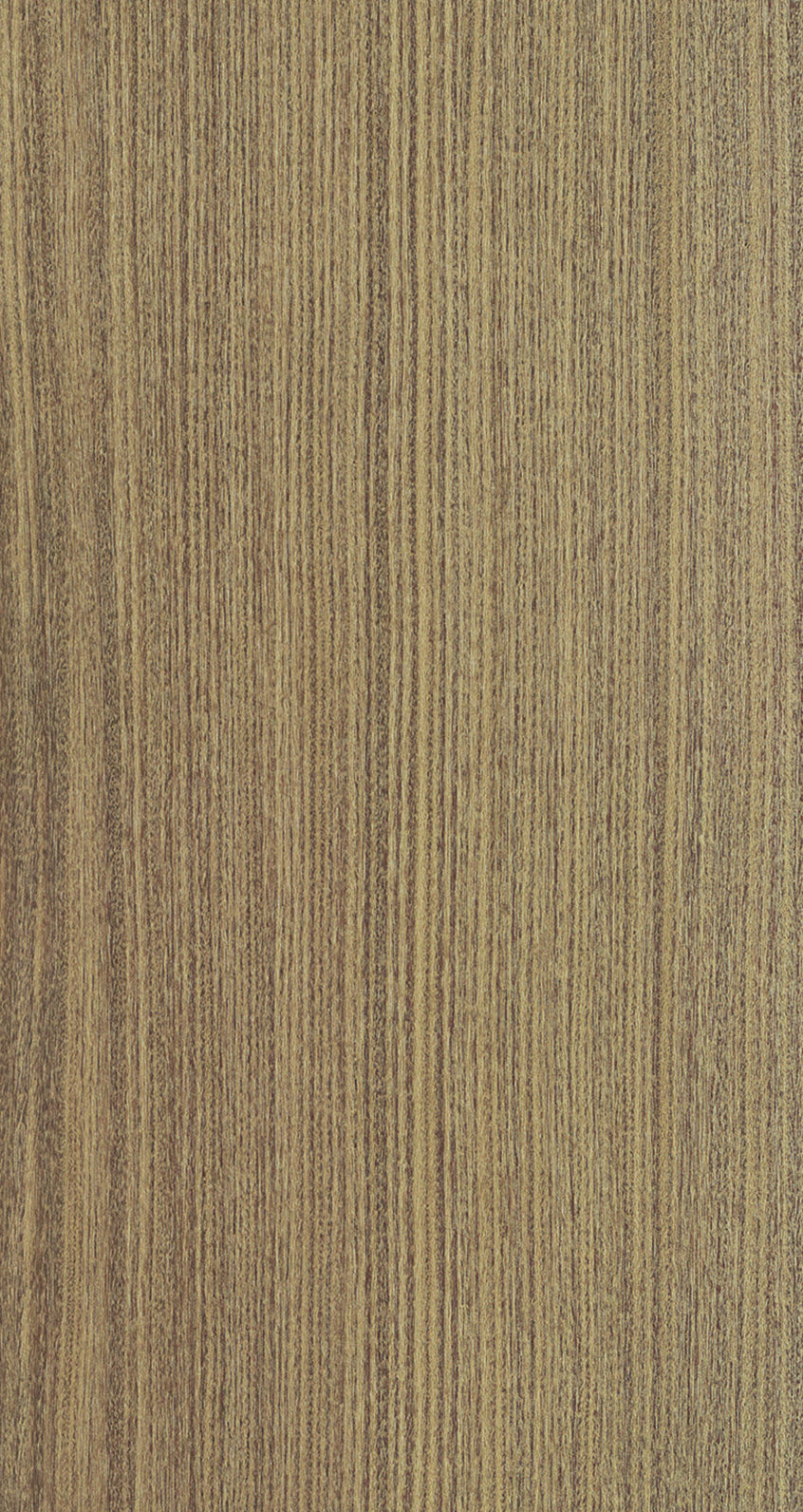 AFRORMOSIA / BQAF 102 Medium Greige