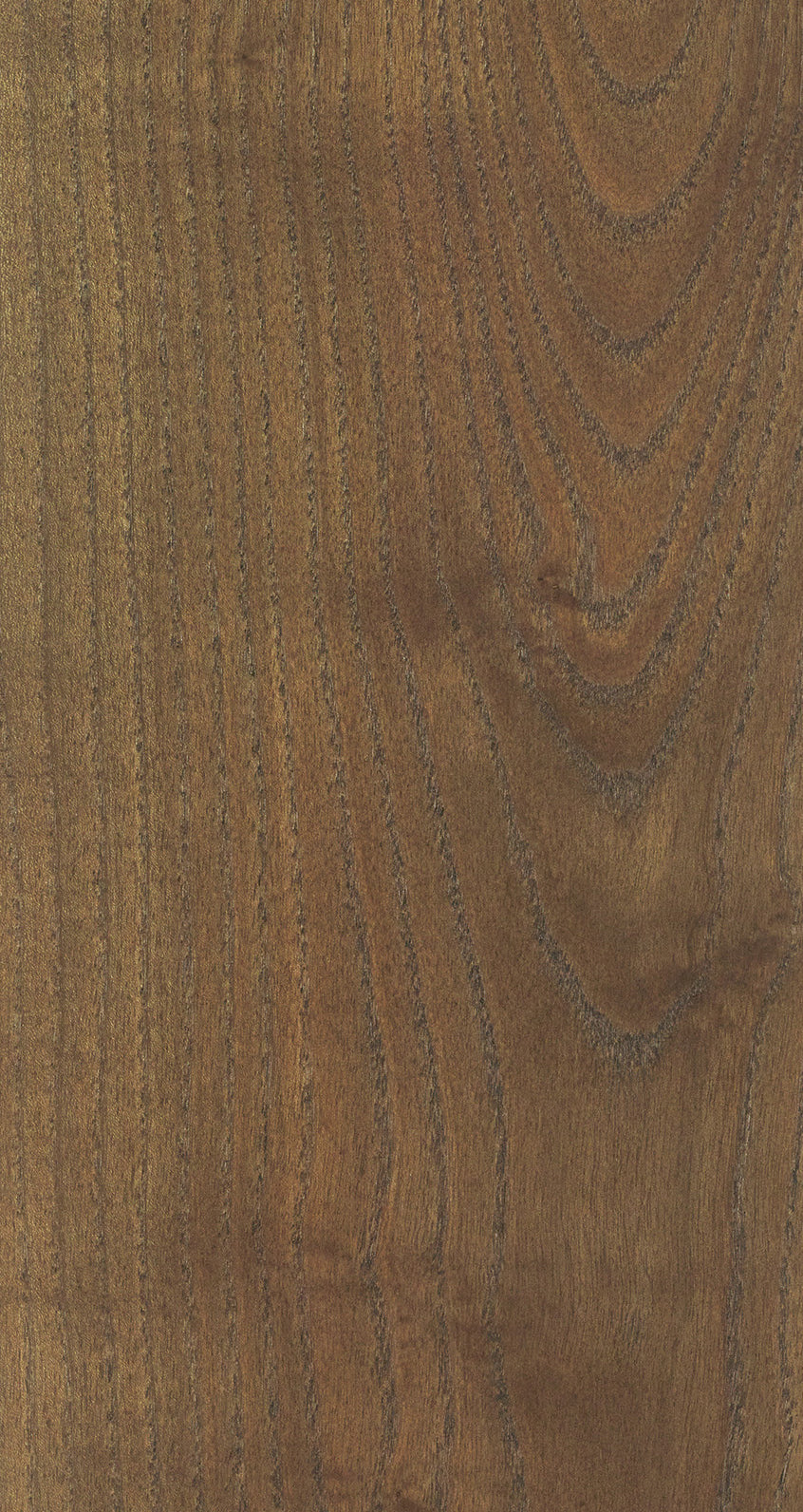 ASH / BQAS 205 Rich Brown