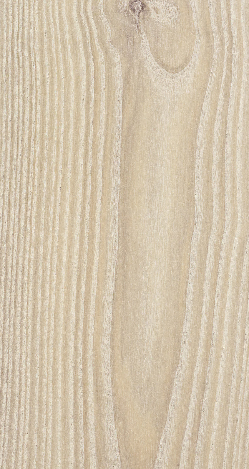 ASH / BQAS 206 Soft Cream