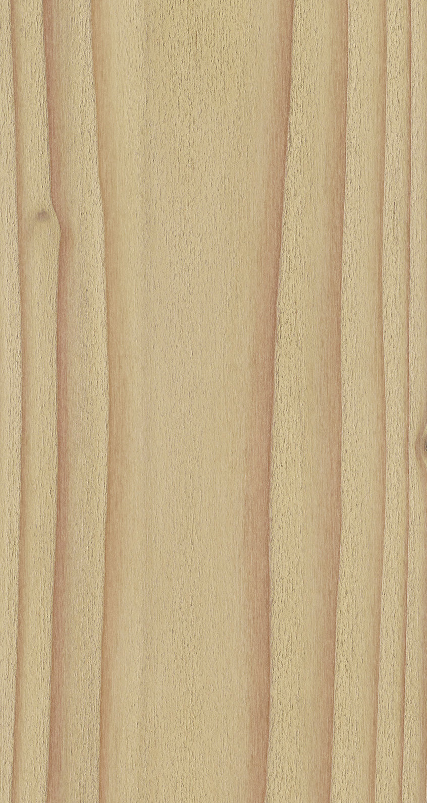 DOUGLAS / BQD 302 Medium Dust