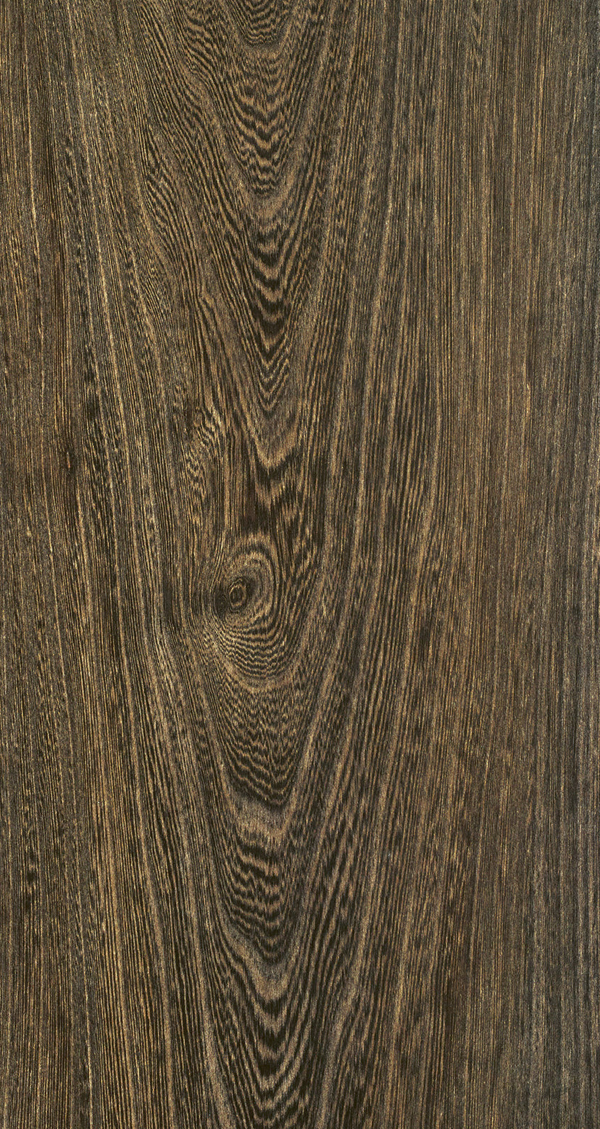 ELM / BQE 402 Intense Charcoal