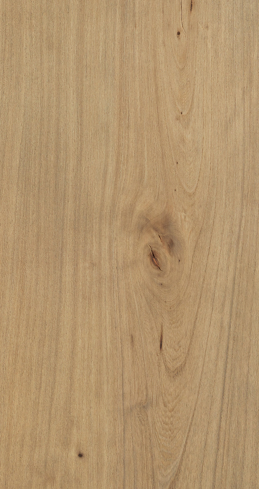 ELM / BQE 403 Dark Cream