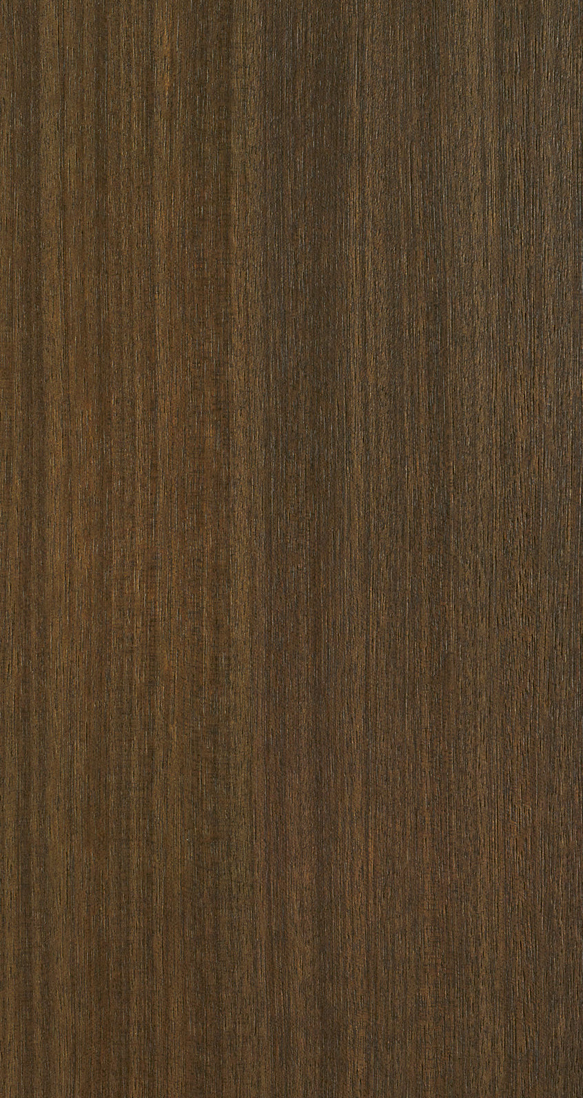 MAHOGANY / BQM 501 Warm Carbon