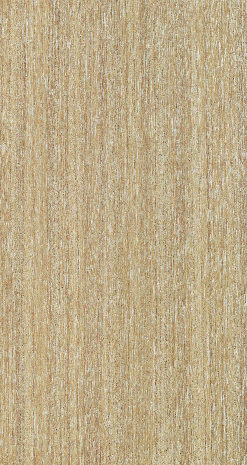 MAHOGANY / BQM 504 Smokey Beige