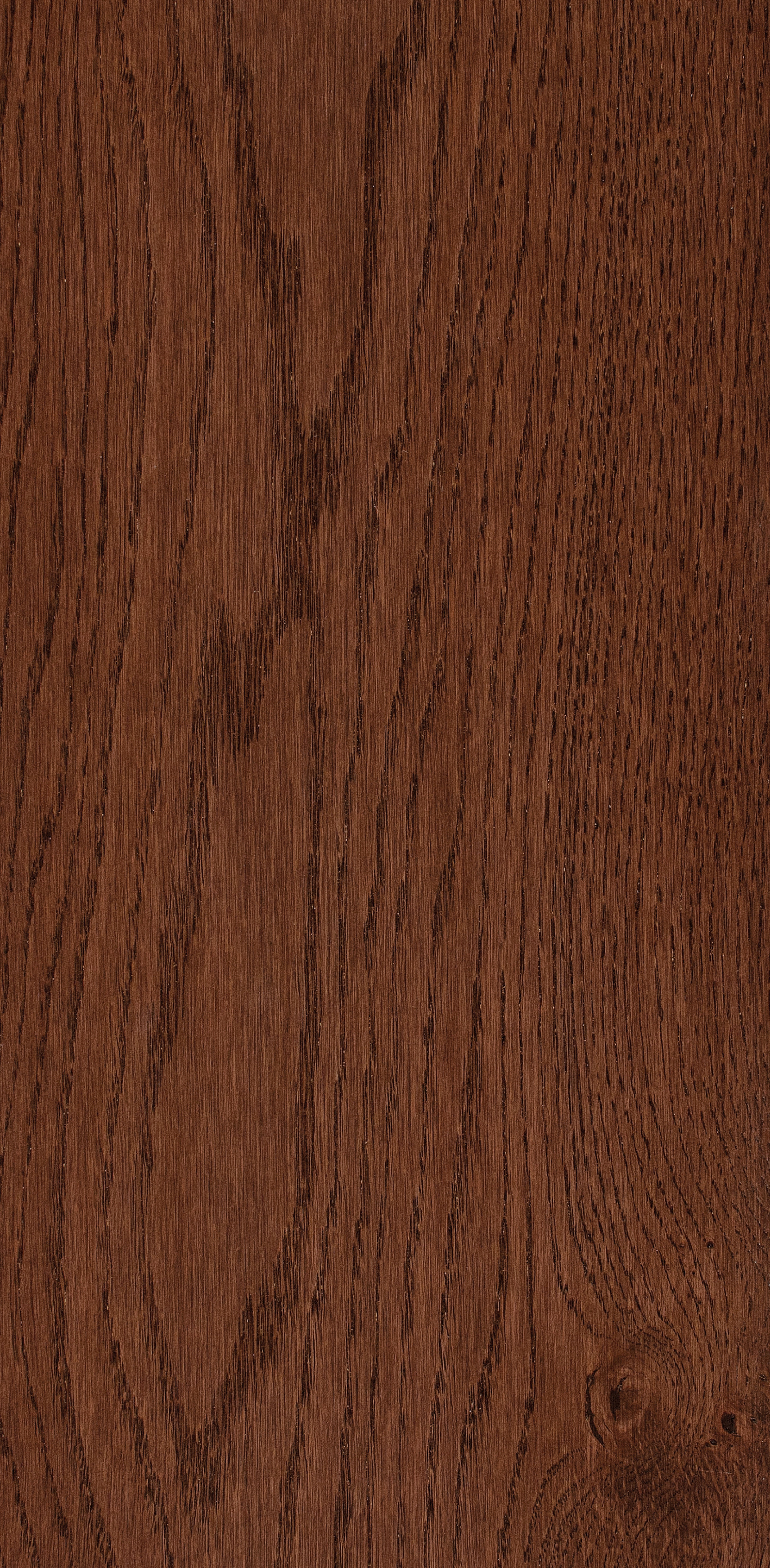 Oak Five / BQO508 Smokey Hazel