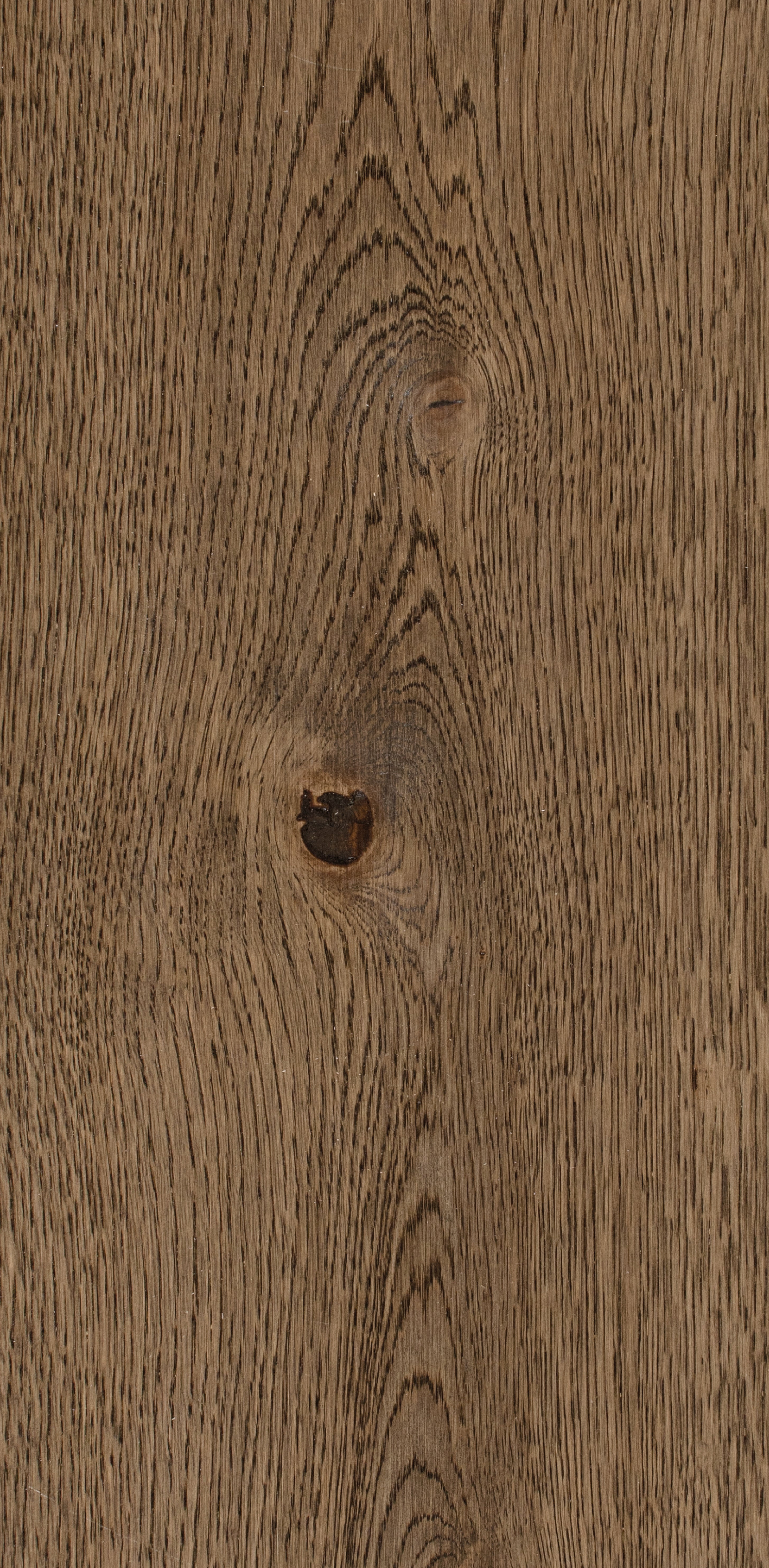 Oak Five / BQO509 Golden Brown