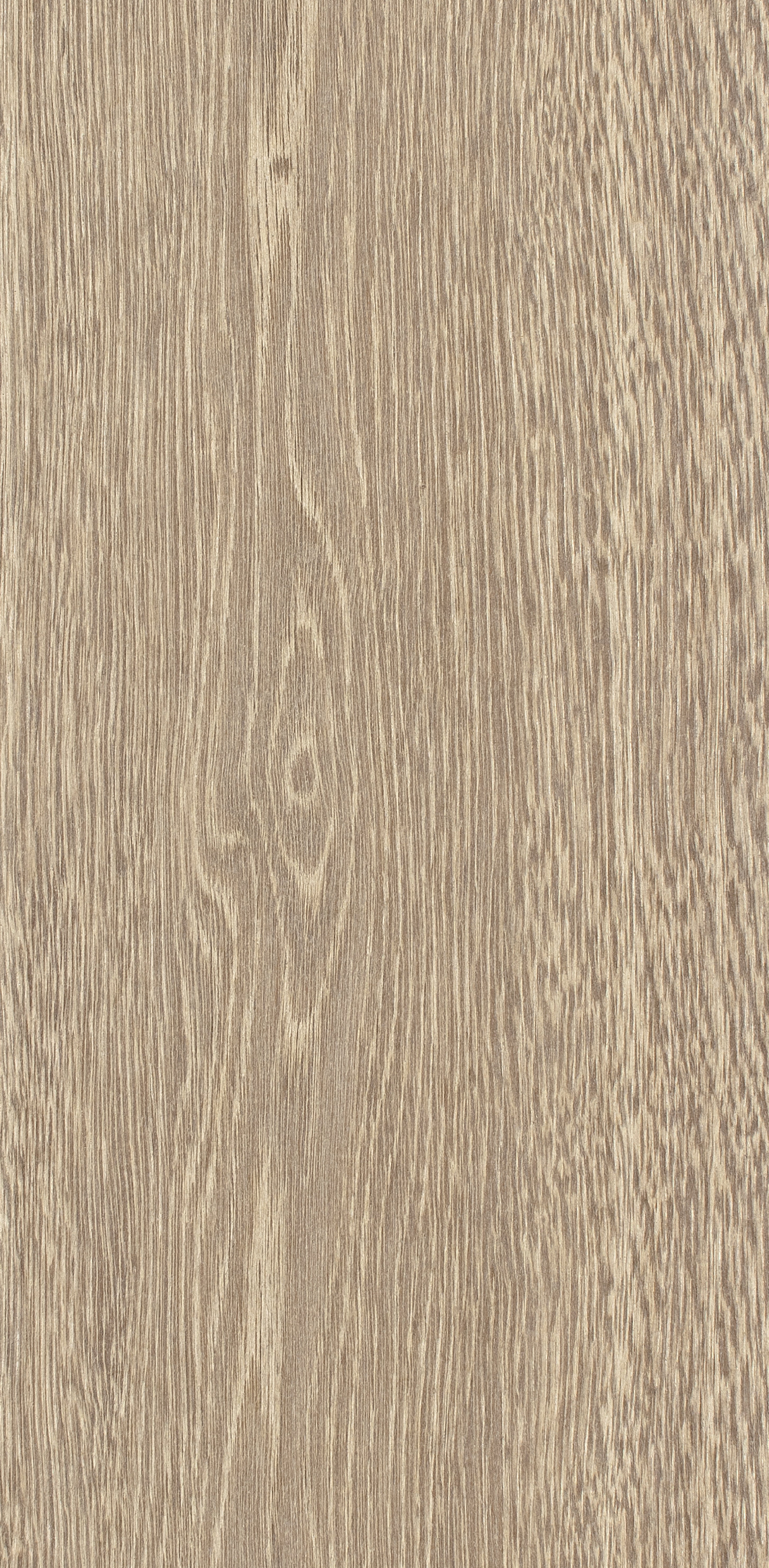 Oak Eight / BQO813 Silky Beige