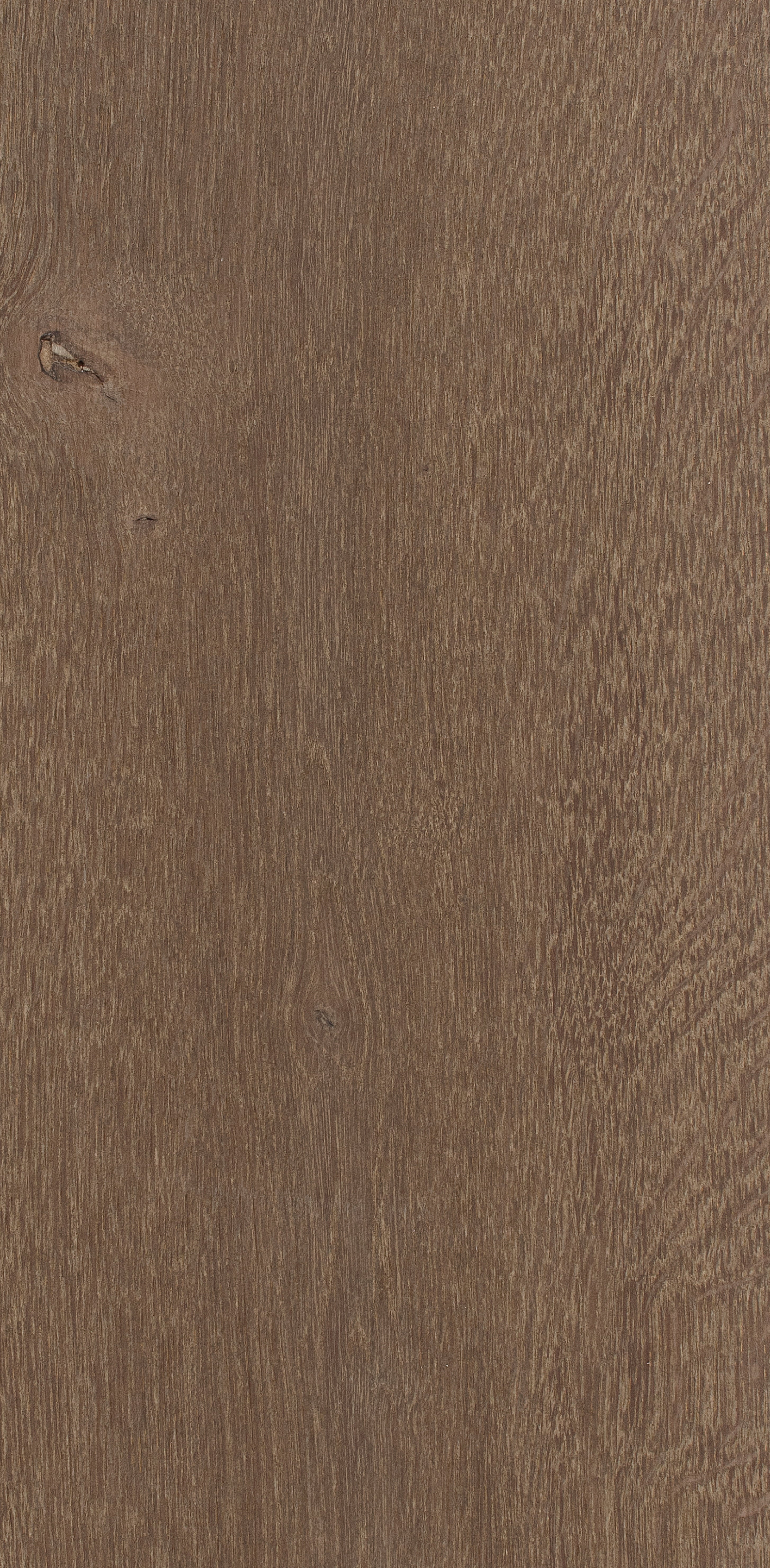 Oak Eight / BQO814 Rich Bronze
