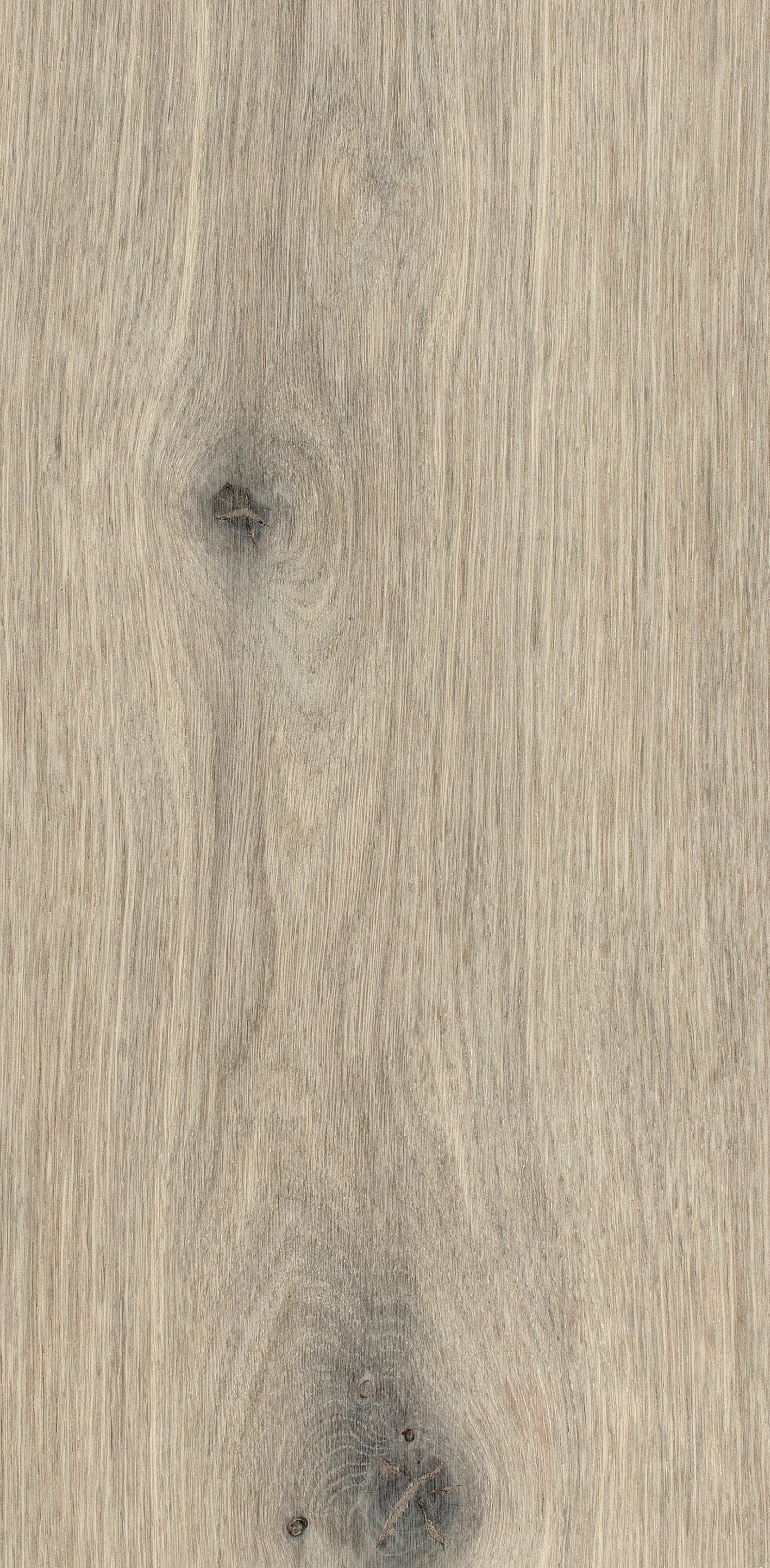 Oak Eight / BQO815 Misty Greige