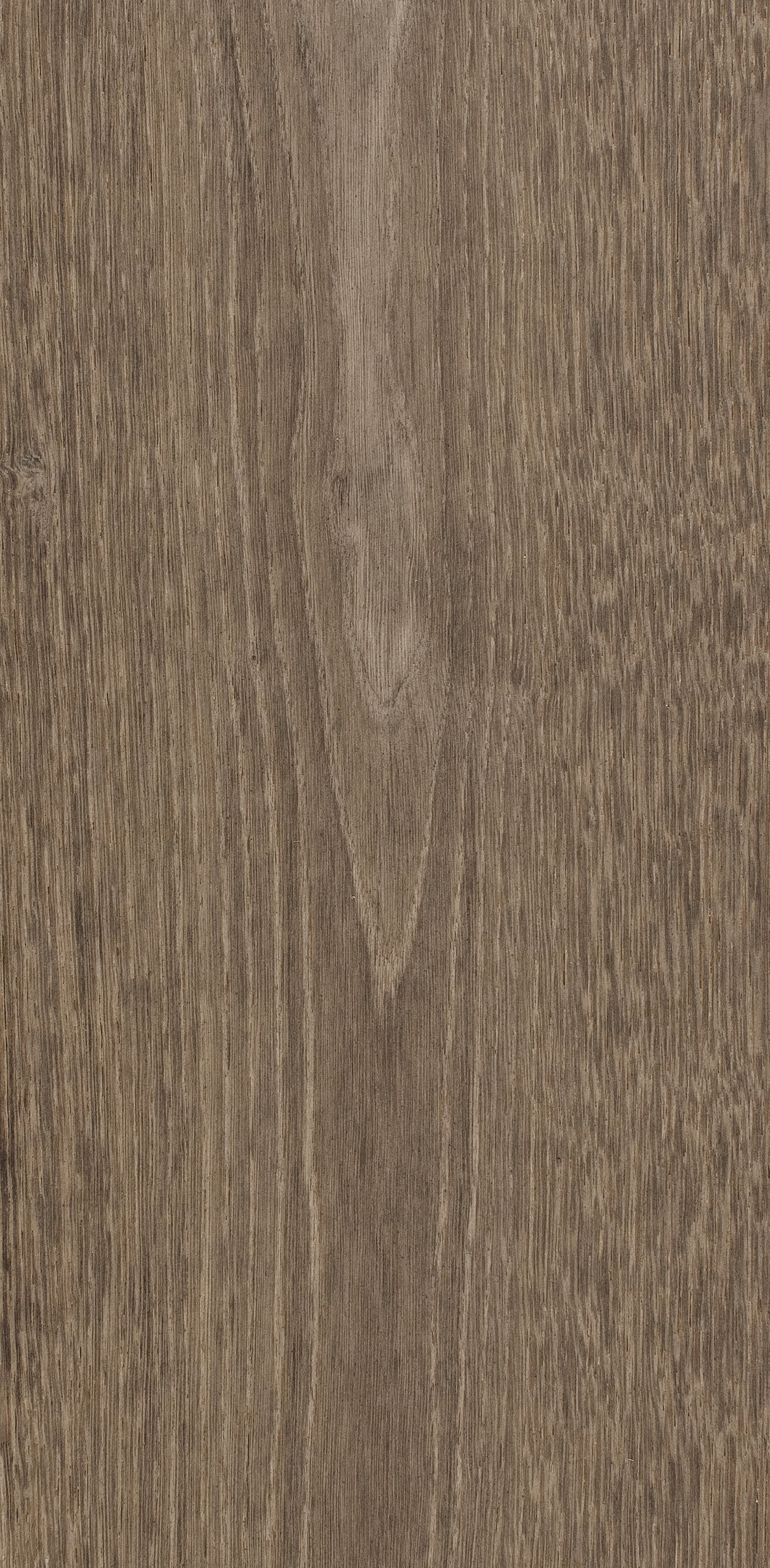 Oak Eight / BQO816 Shadow Dust