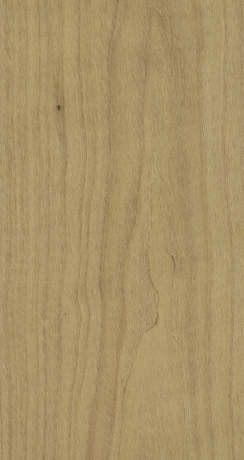 WALNUT / BQW 801 Dusty Tan