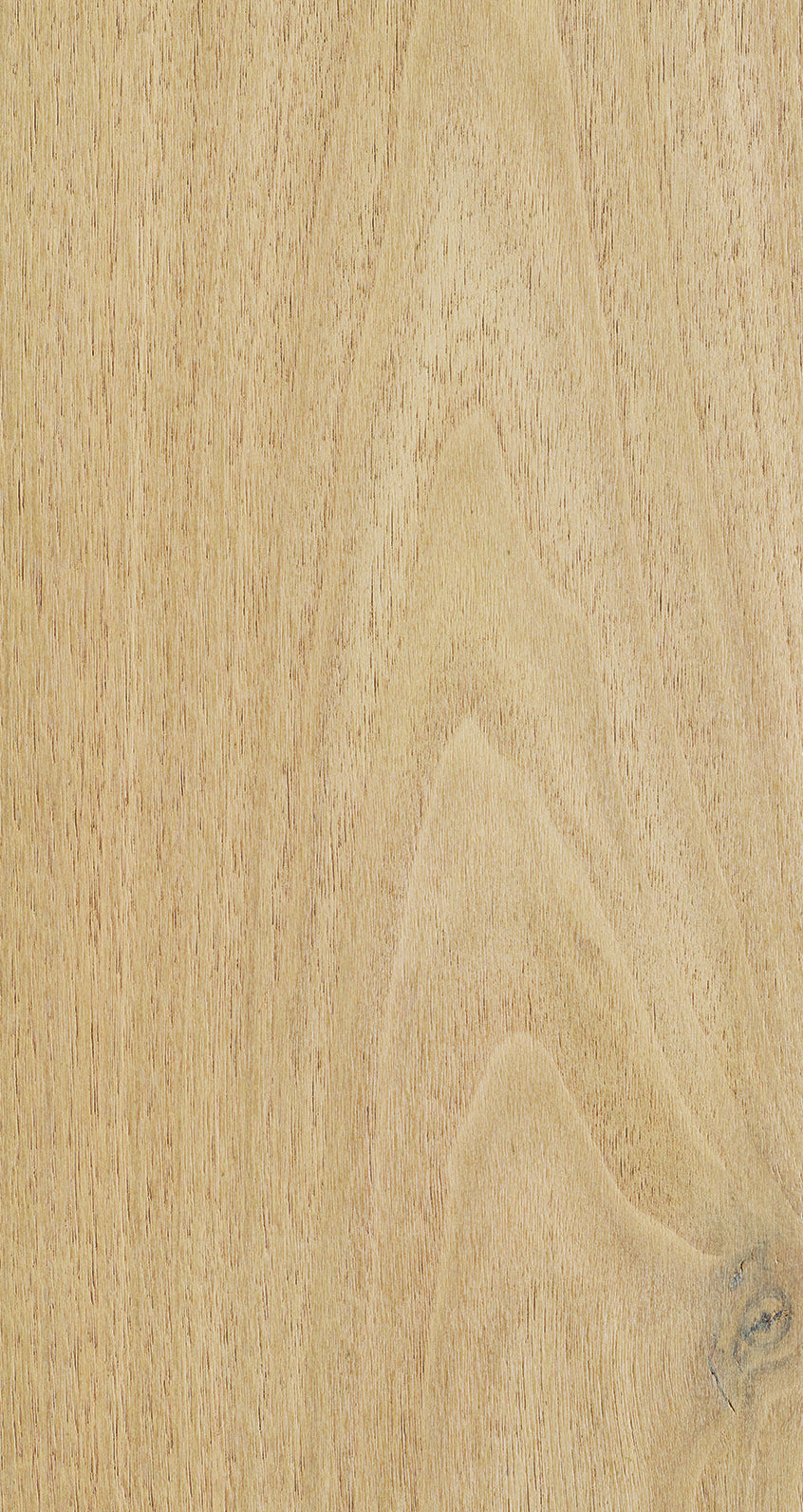 WALNUT / BQW 802 Light Dust