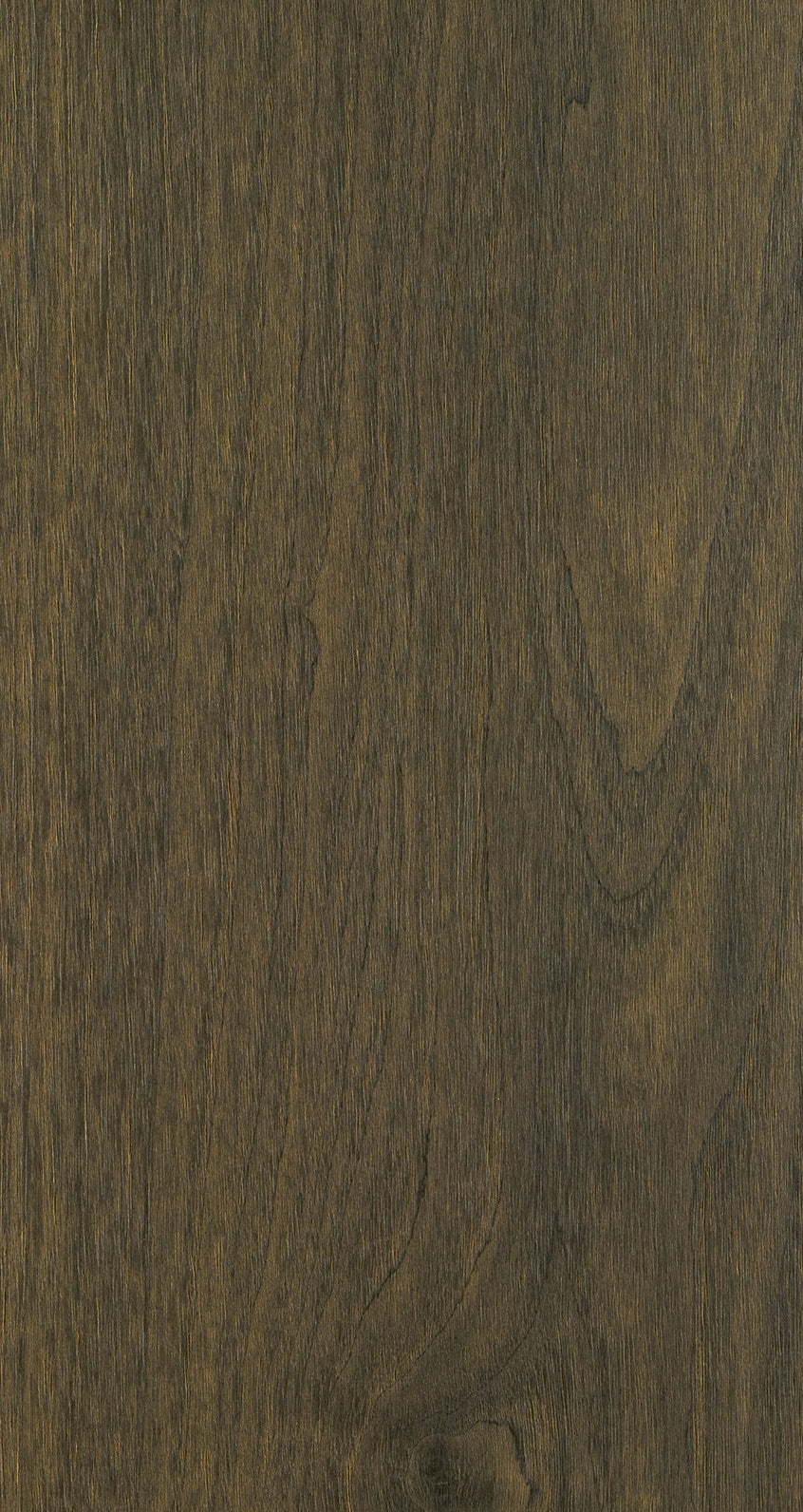 WALNUT / BQW 803 Intense Bark
