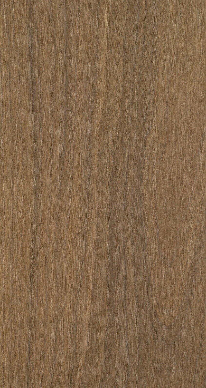 WALNUT / BQW 804 Rich Terra