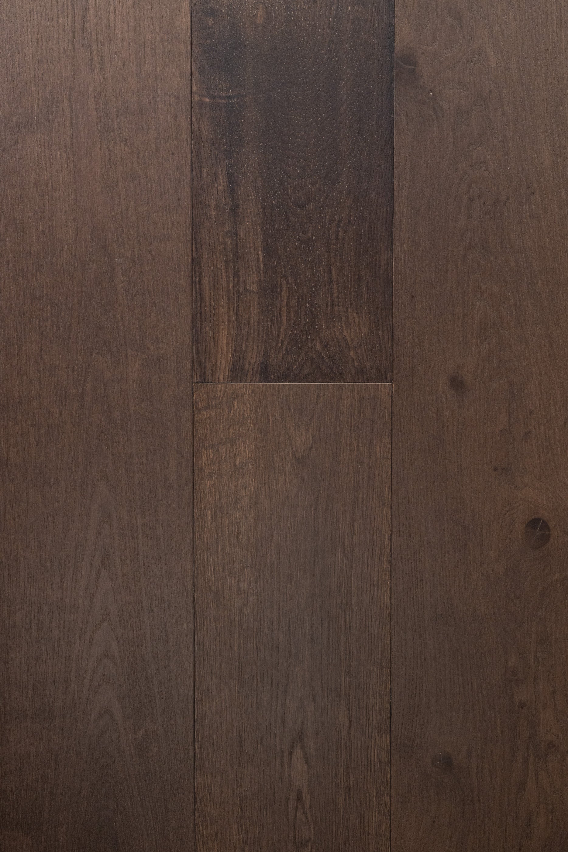 White Oak / R. Plank