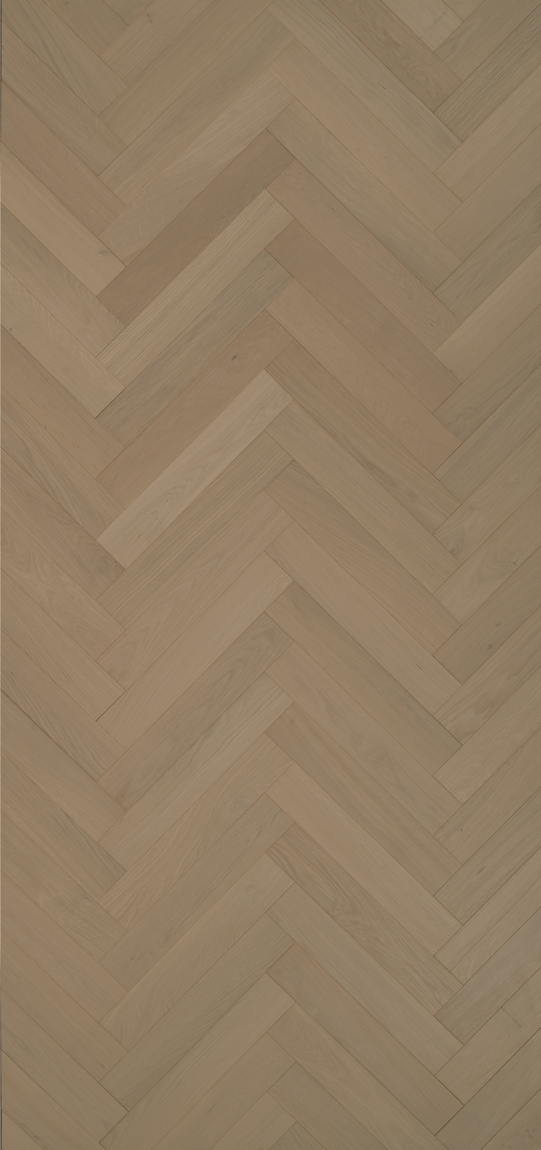 Oak Corteza Select
