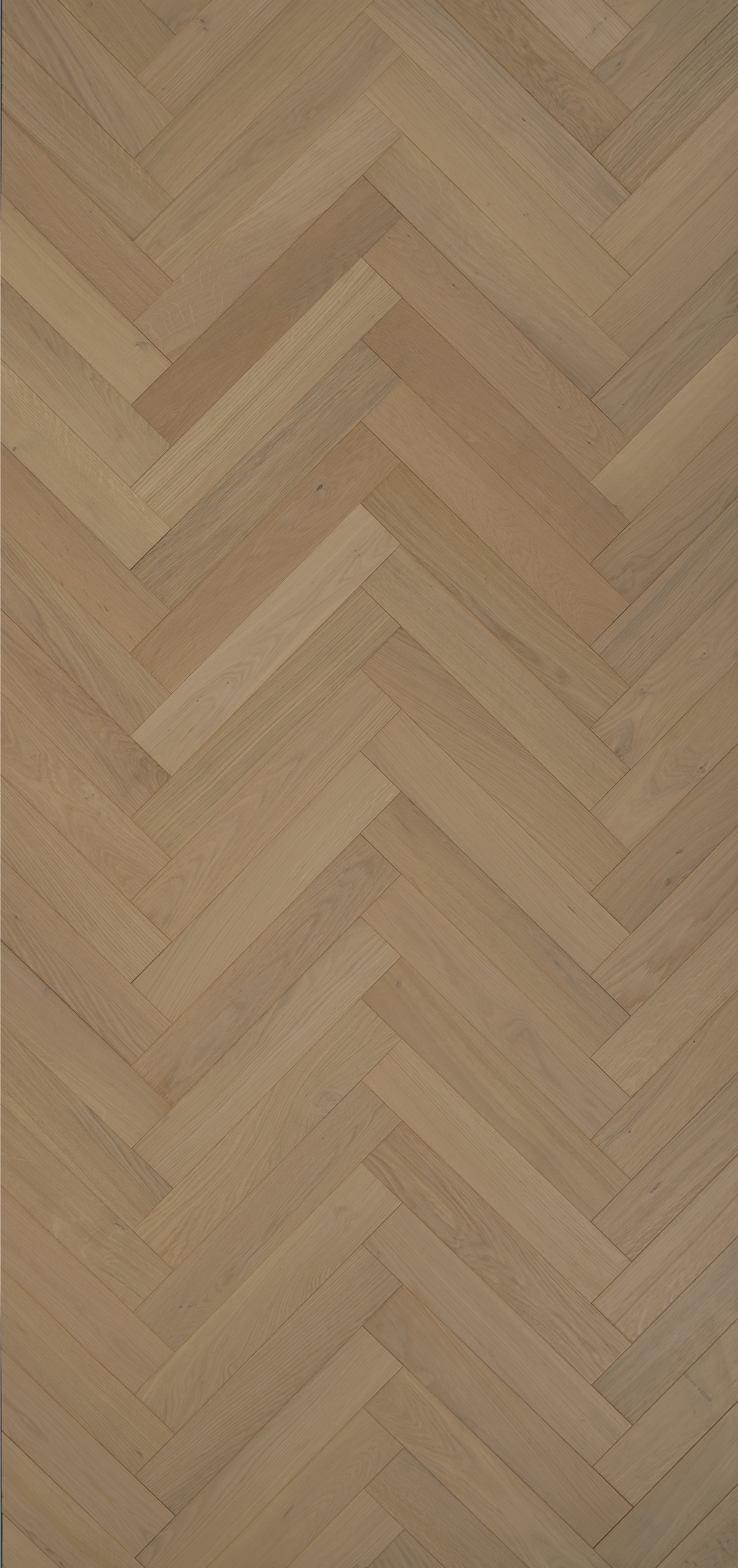 Oak Dune Select