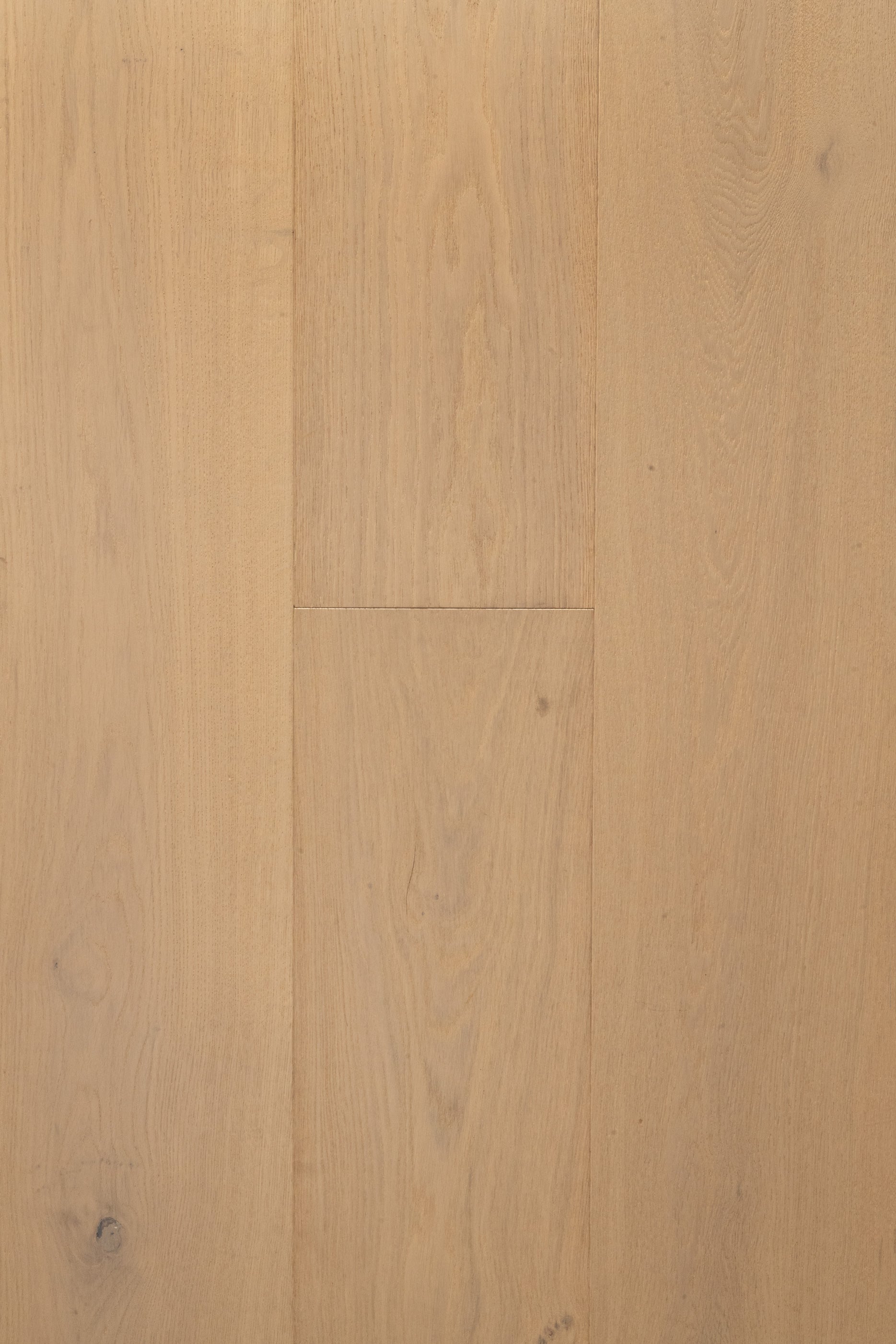 White Oak / R. Plank
