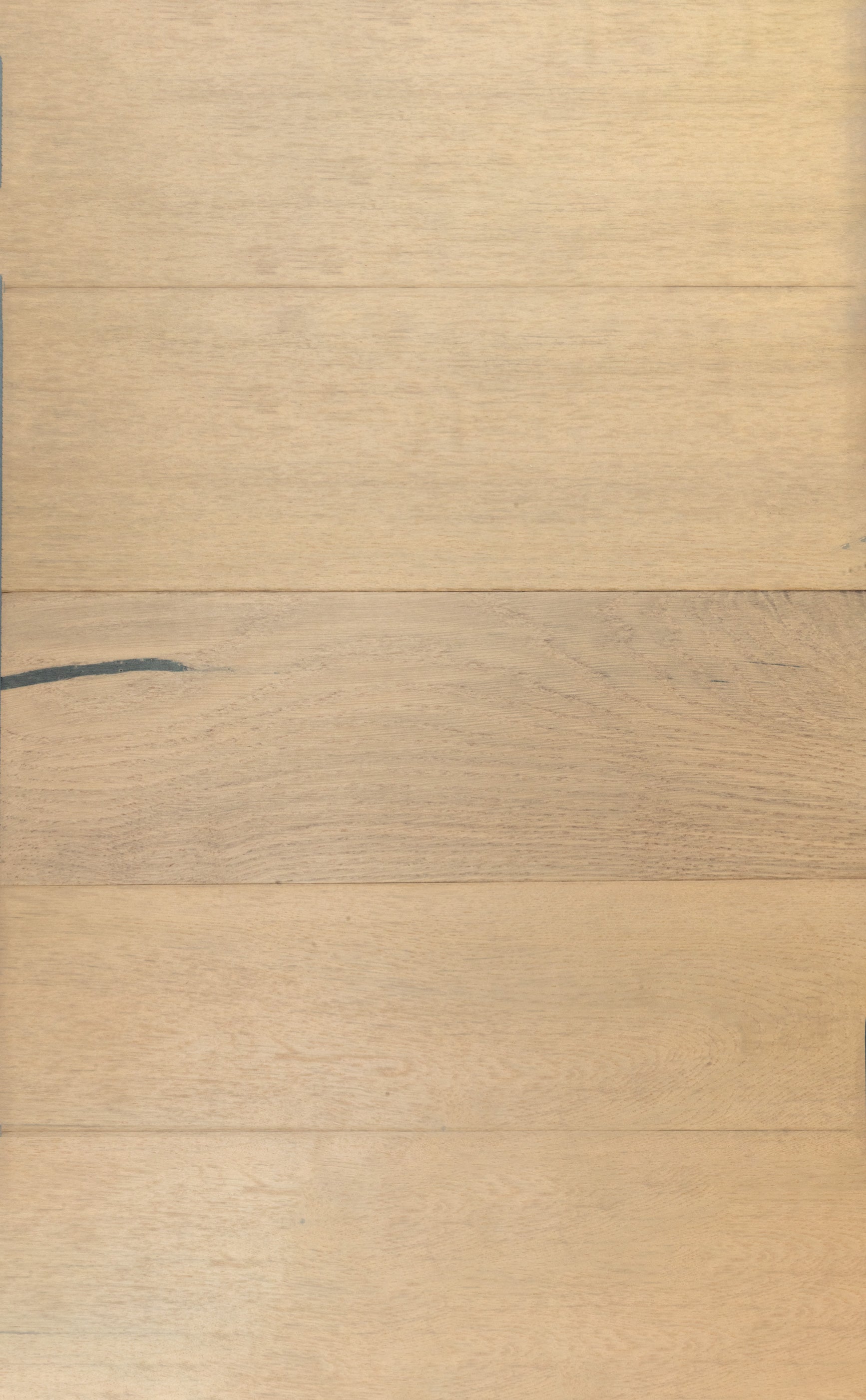 White Oak / R. Plank
