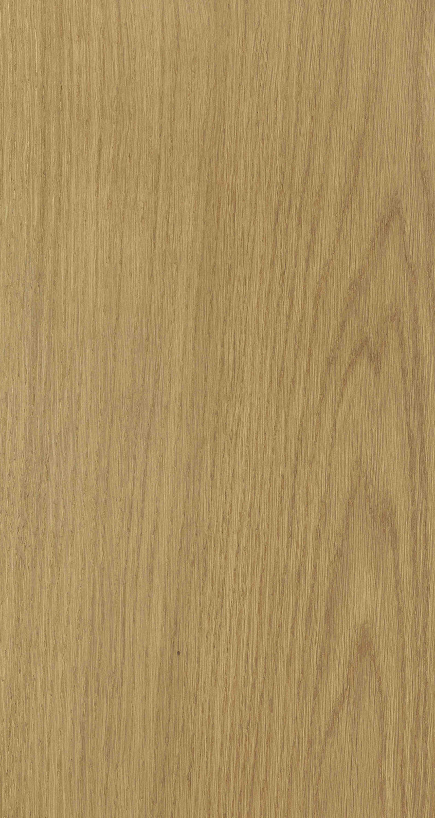 Oak Five / BQO 504 Medium Sand