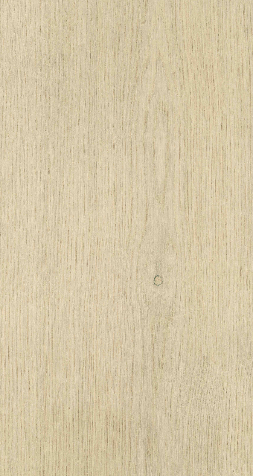 Oak Six / BQO 601 Medium Chalk