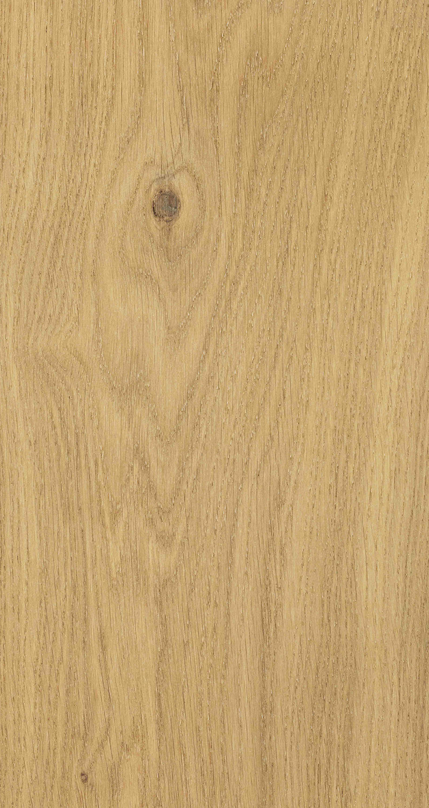 Oak Six / BQO 602 Warm Nude