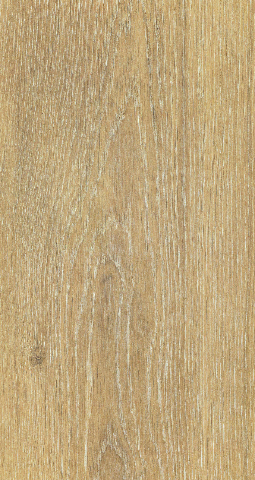 Oak Six / BQO 603 Faded Umber