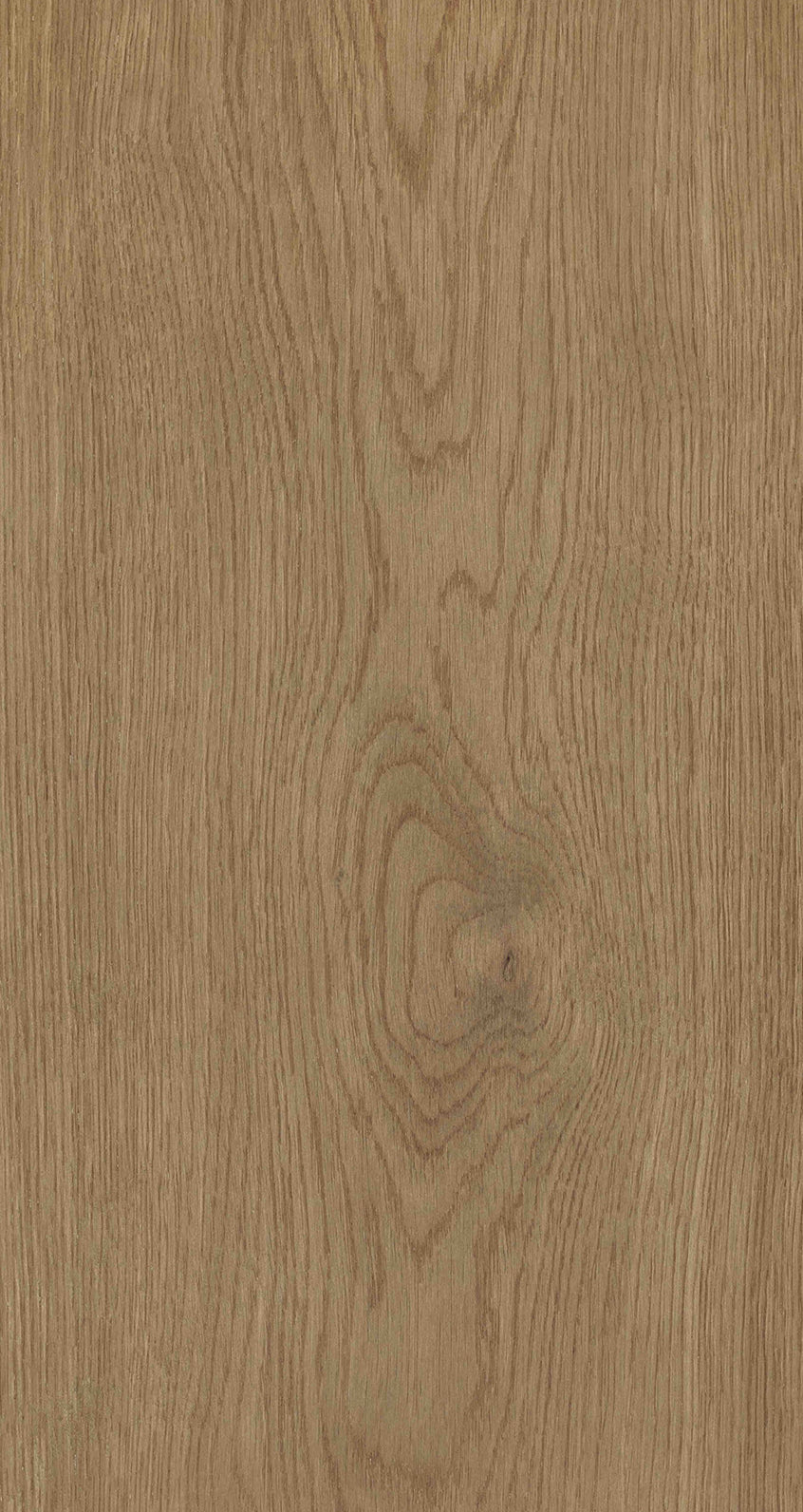 Oak Six / BQO 604 Soft Taupe