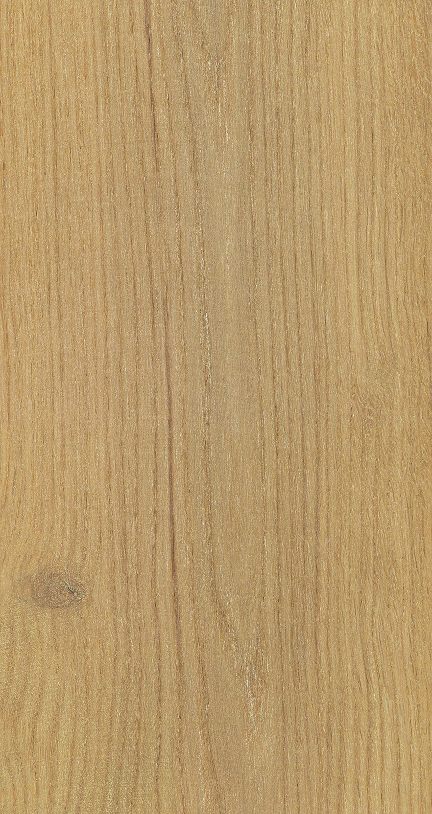 Oak Seven / BQO 702 Medium Shell