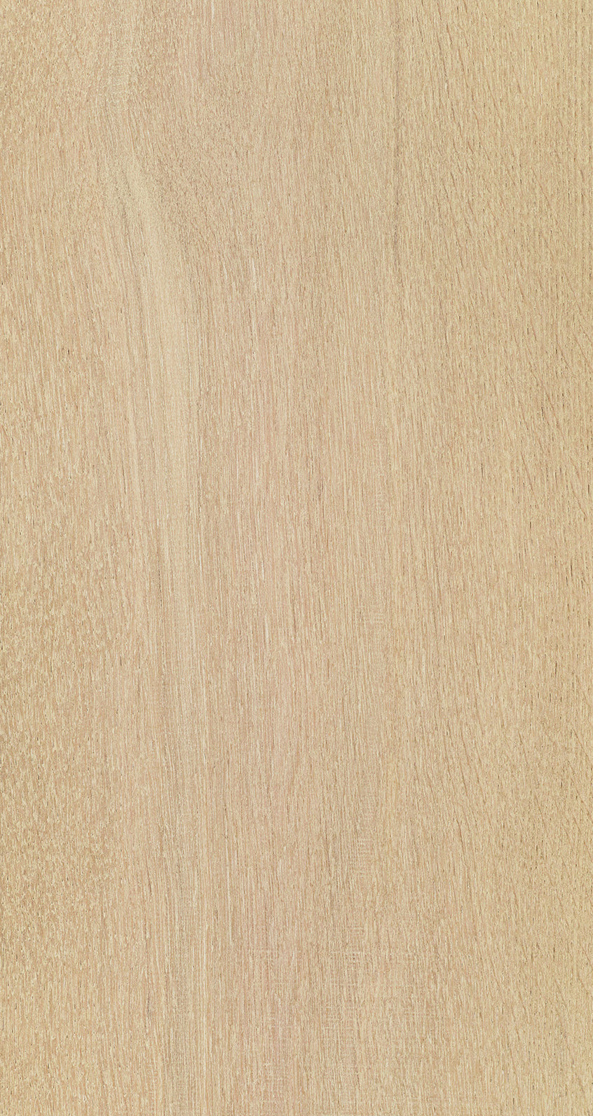 Oak Seven / BQO 703 Faded Pebble