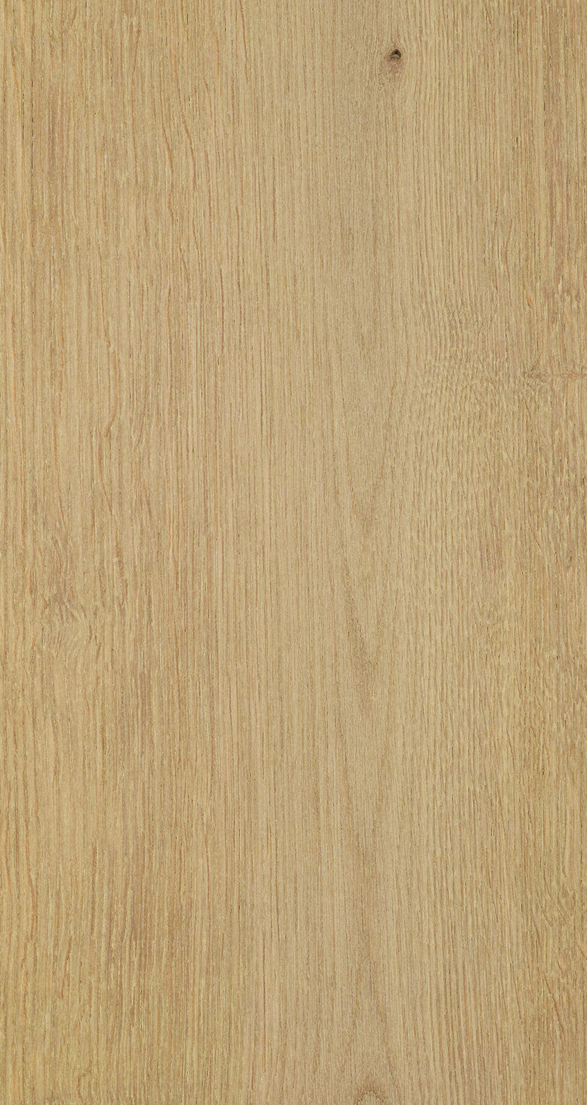 Oak Seven / BQO 704 Medium Clay