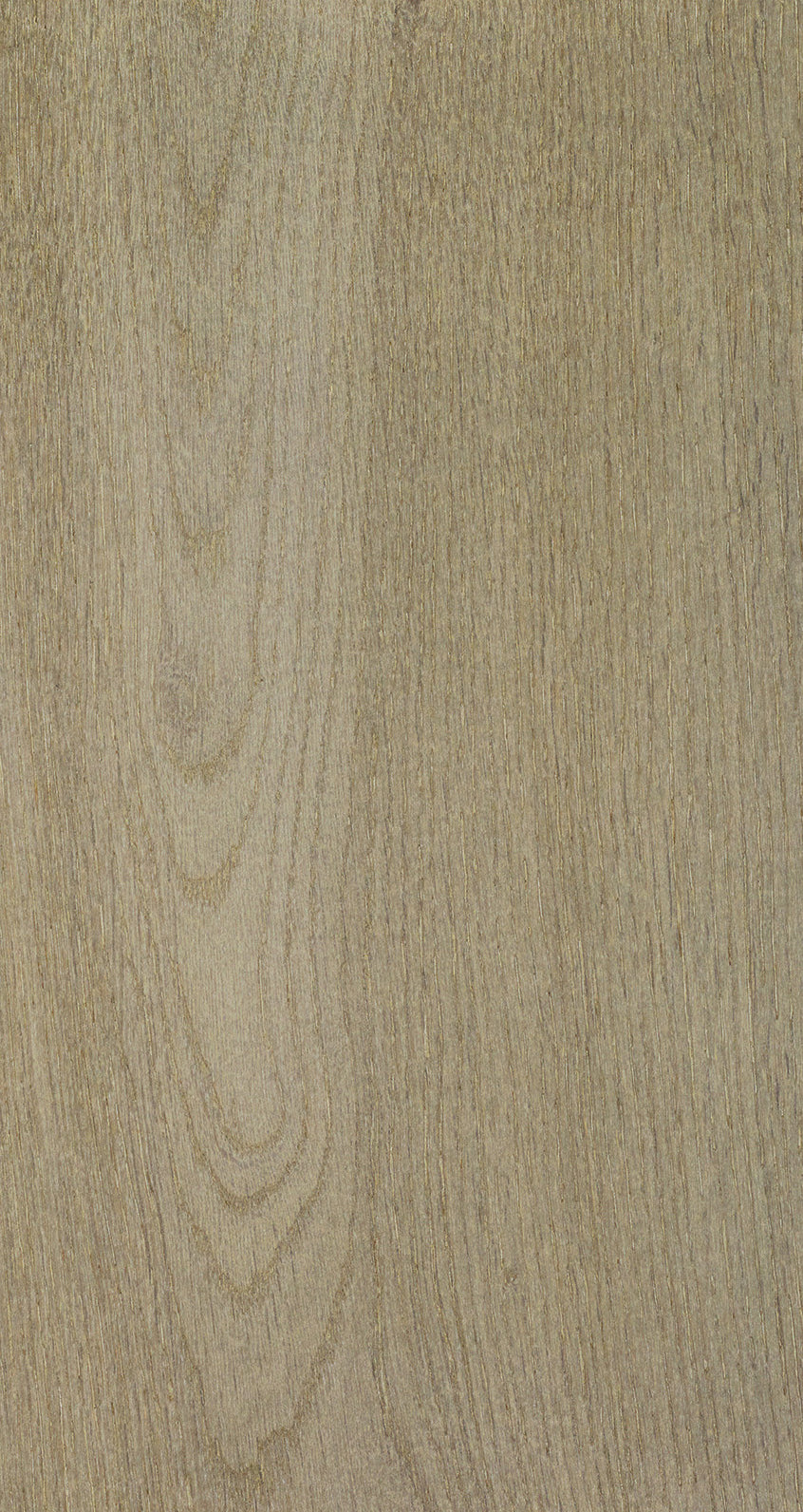 Oak Seven / BQO 706 Intense Taupe