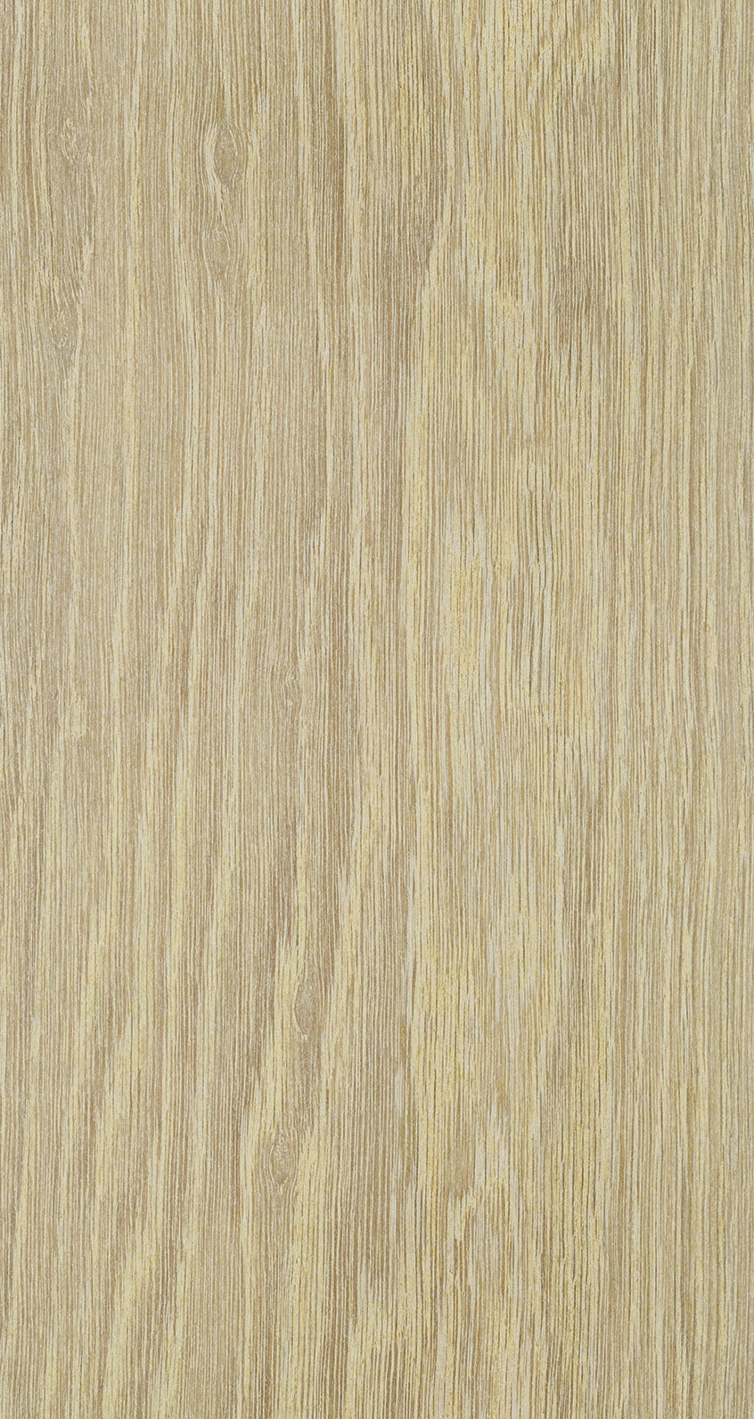 Oak Eight / BQO 801 Light Porcelain