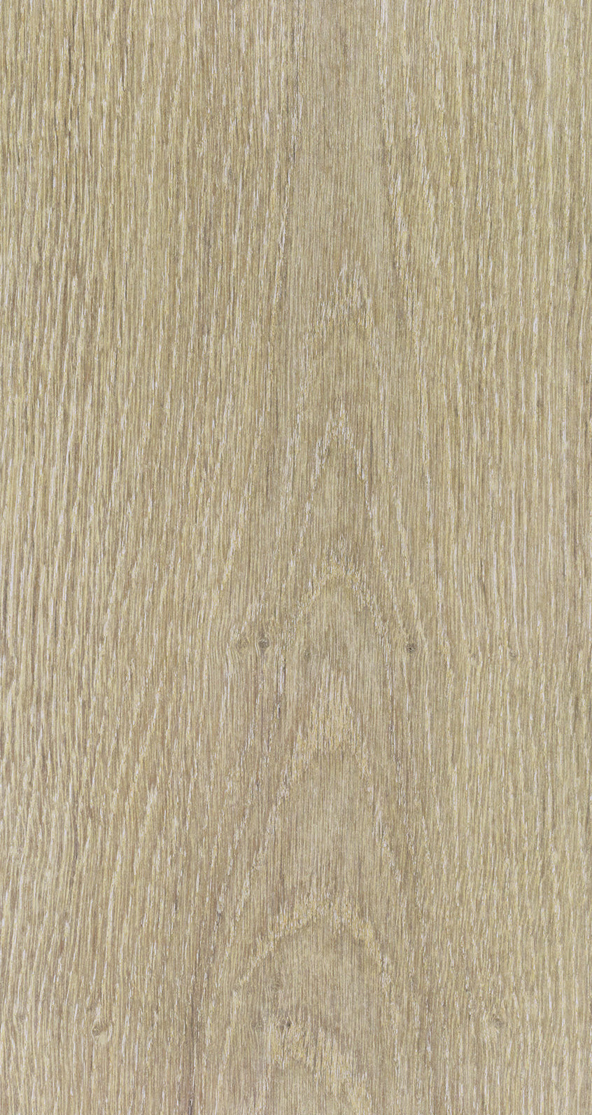 Oak Eight / BQO 804 Warm Chalk