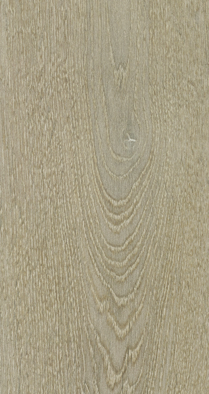 Oak Eight / BQO 805 Mineral Grey