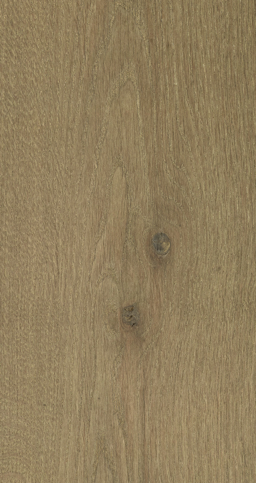 Oak Eight / BQO 806 Rich Greige
