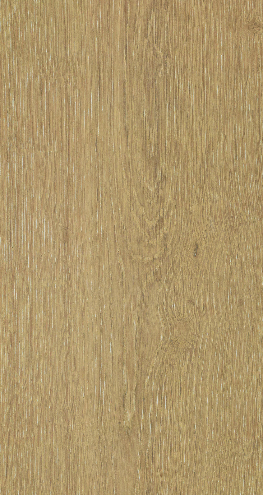 Oak Eight / BQO 807 Warm Terra
