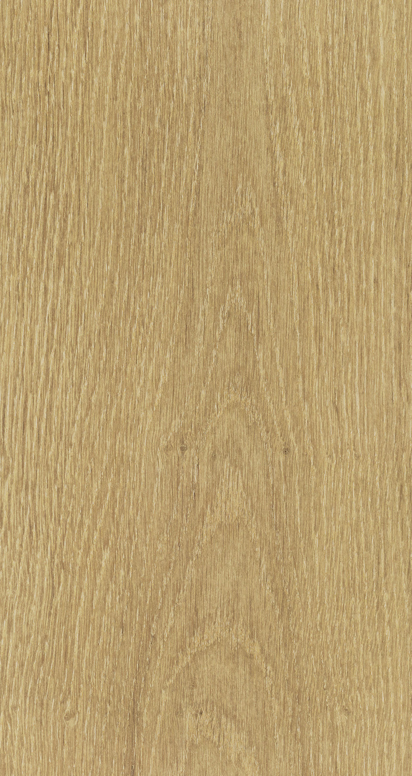 Oak Eight / BQO 808 Intense Tan