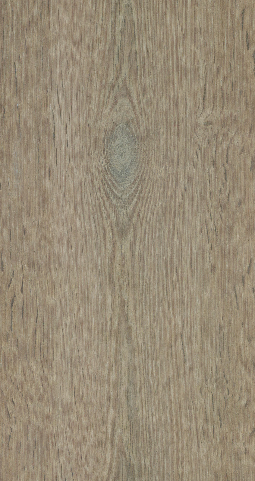 Oak Eight / BQO 809 Warm Dust