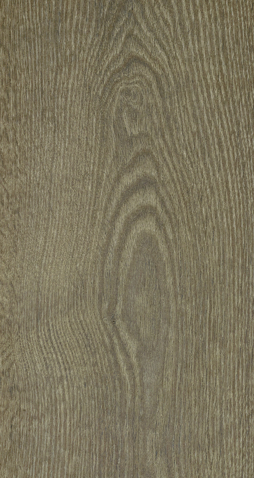 Oak Eight / BQO 810 Mineral Brown