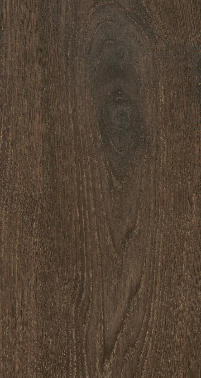 Oak Eight / BQO 811 Madder Brown