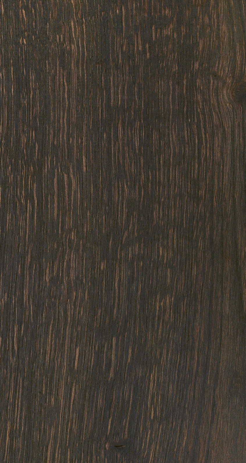 Oak Eight / BQO 812 Warm Charcoal