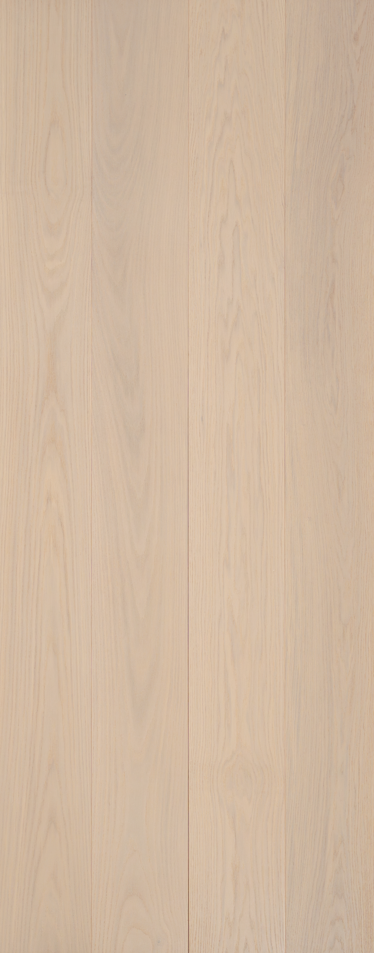 Oak Shell Select