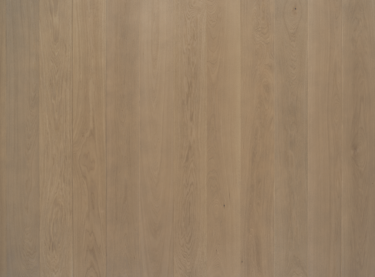 Oak Dune