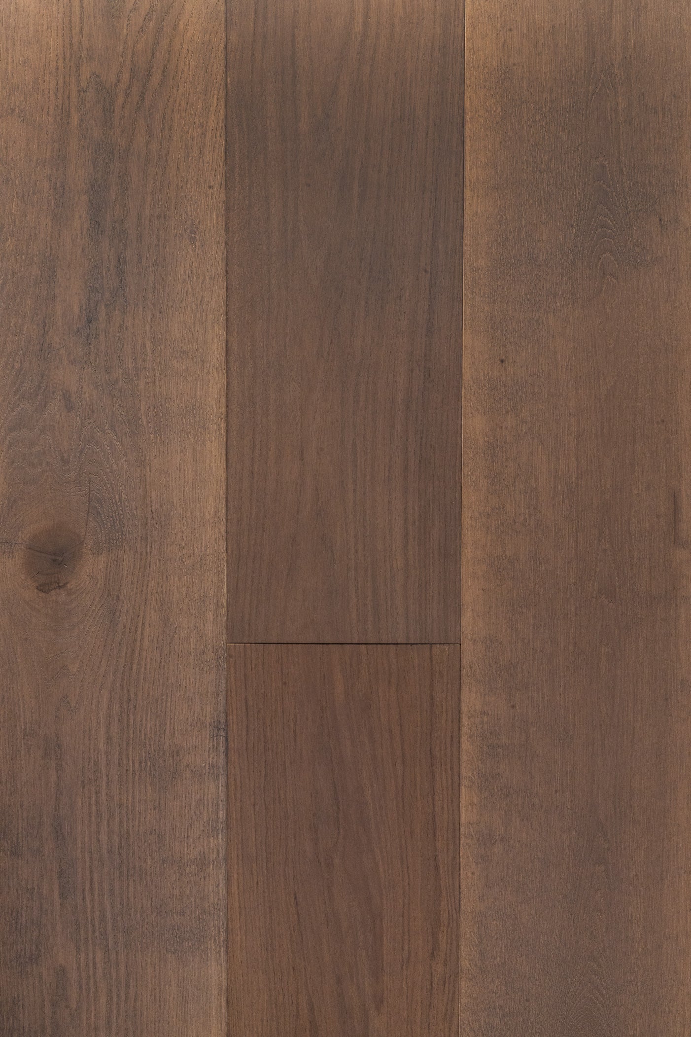 White Oak / R. Plank