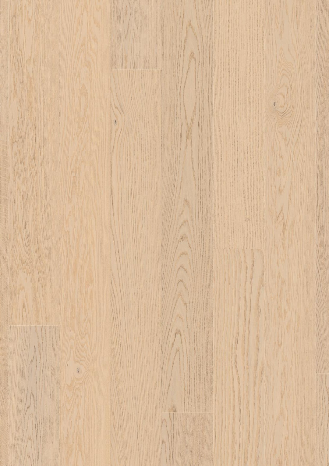 Oak Savanne Rustic
