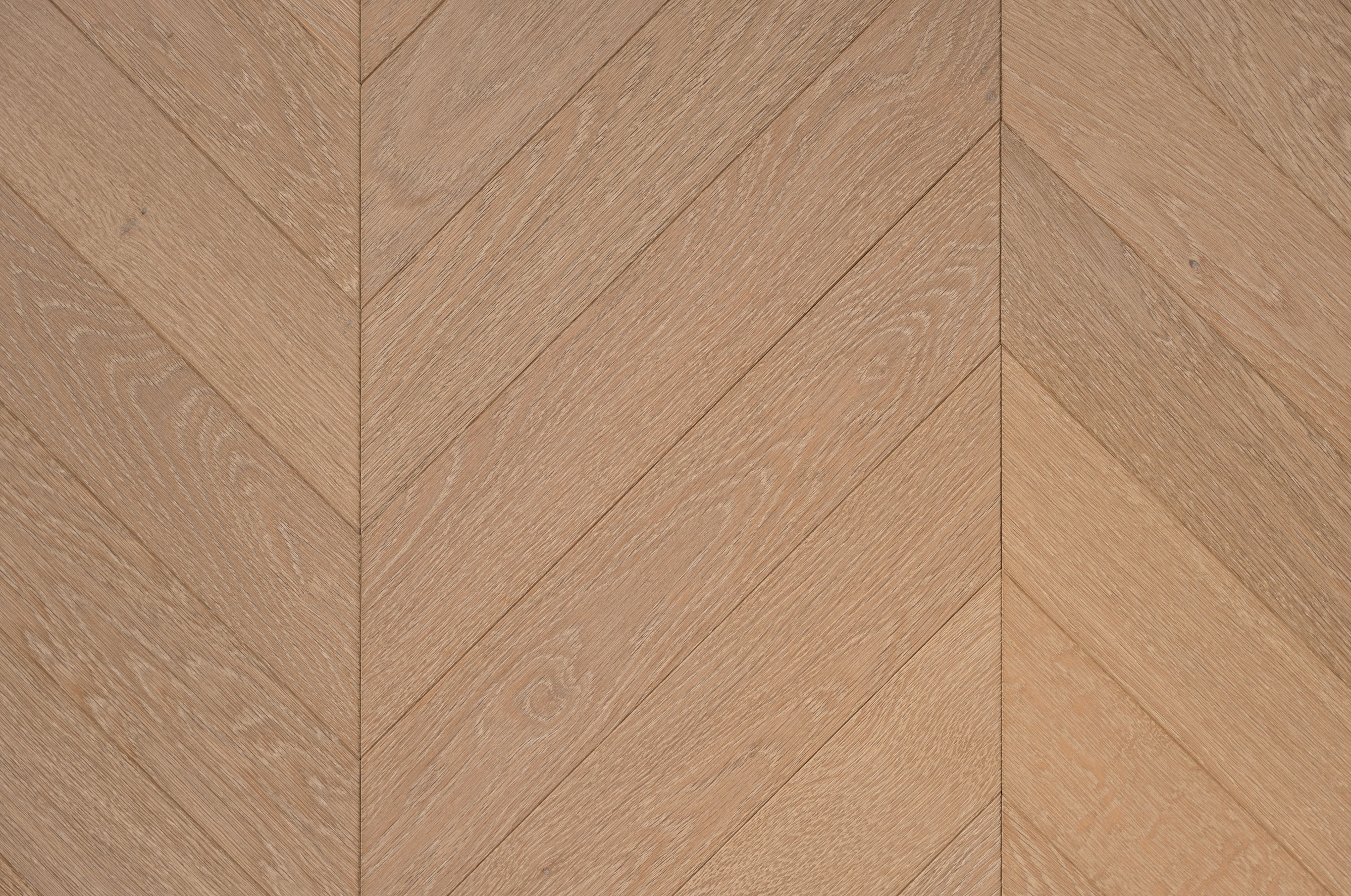 Oak One-Eight